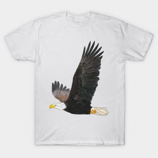 American Bald Eagle Detailed Drawing T-Shirt